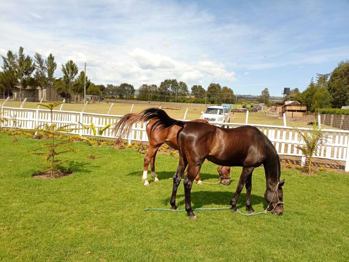 Rawhew Ranch - Kinamba-Naivasha Hotel Exterior photo